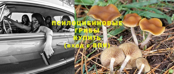 не бодяженный Балахна