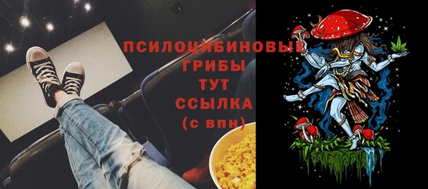 не бодяженный Балахна