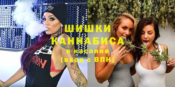 сатива Баксан