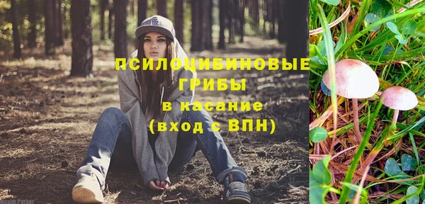каннабис Коряжма
